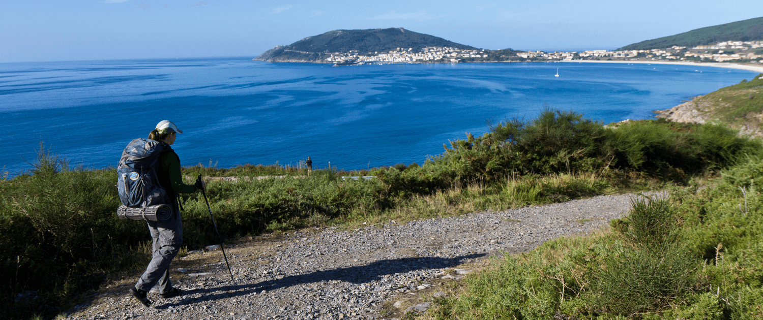 Sendero entre eucaliptos en Galicia